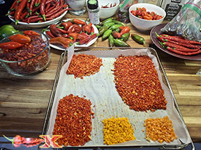 dicing up spicy hot peppers for cooking with