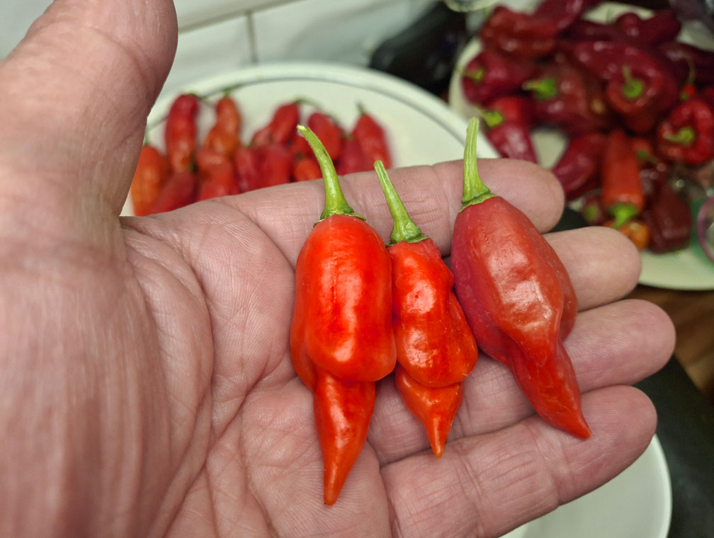 Fire Lantern