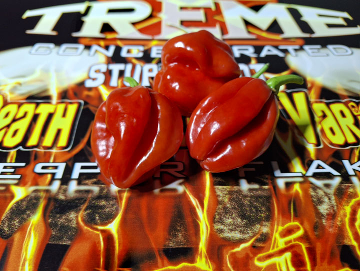 RED HABANERO