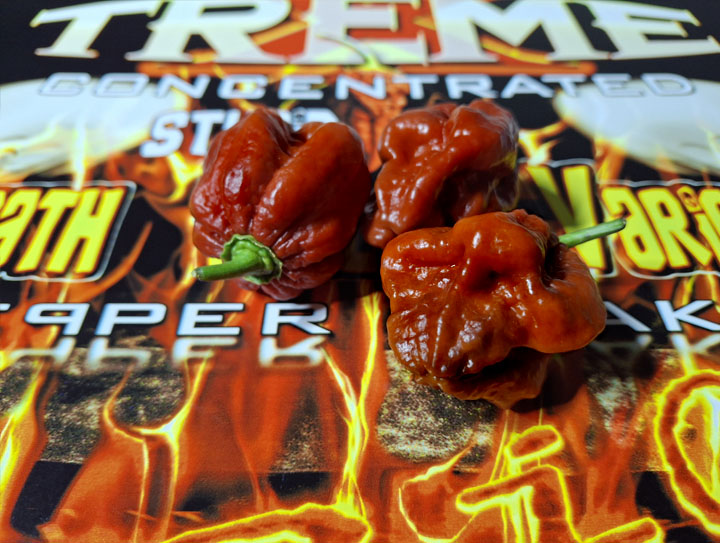 Red Naga Brain